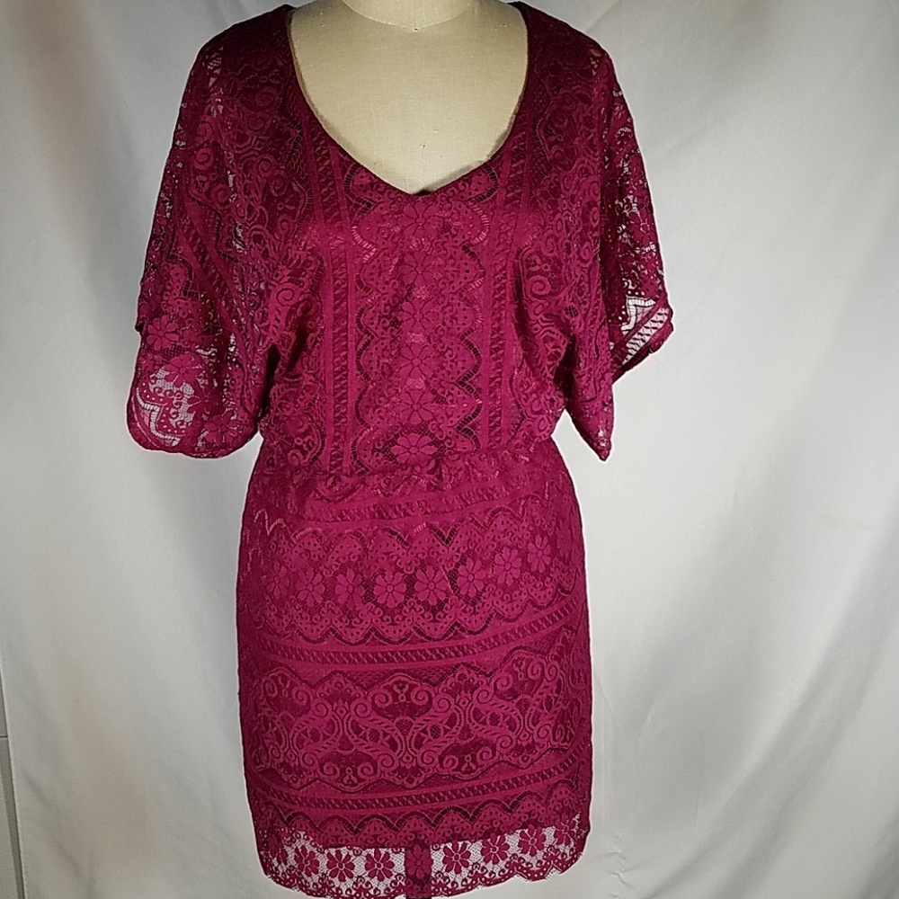 Laundry by Shelli Segal Pink Lace Dress 2